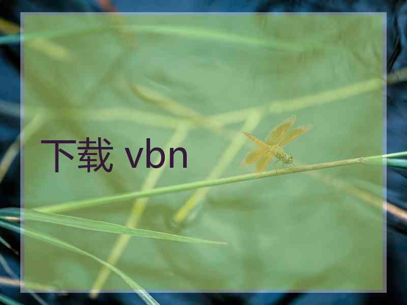 下载 vbn