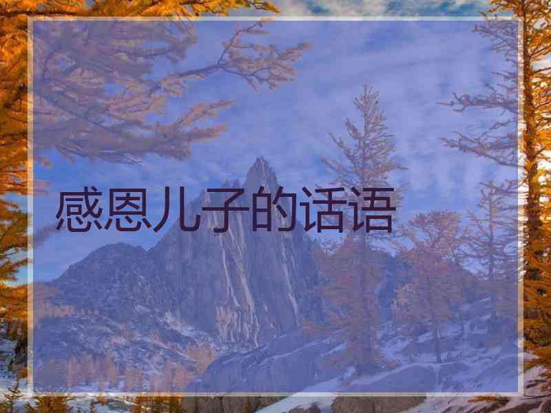 感恩儿子的话语