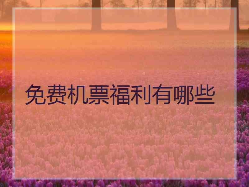 免费机票福利有哪些