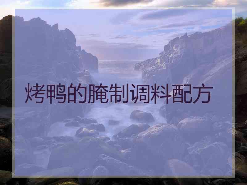 烤鸭的腌制调料配方
