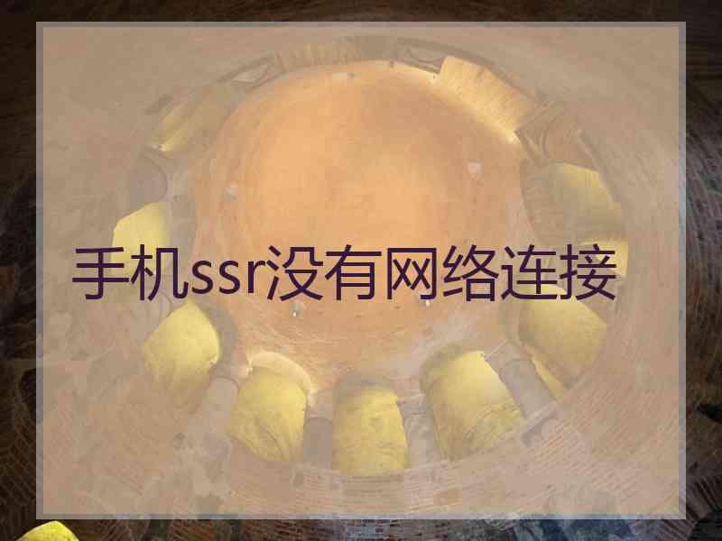 手机ssr没有网络连接