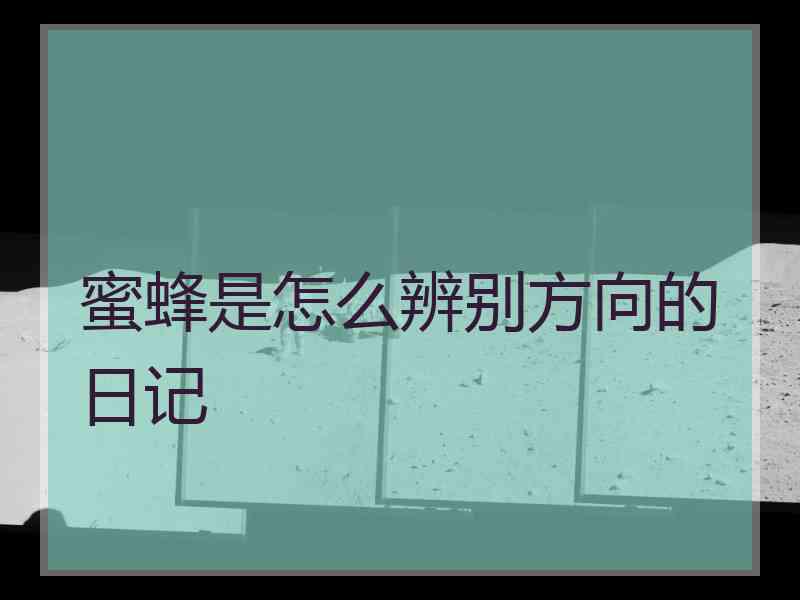 蜜蜂是怎么辨别方向的日记