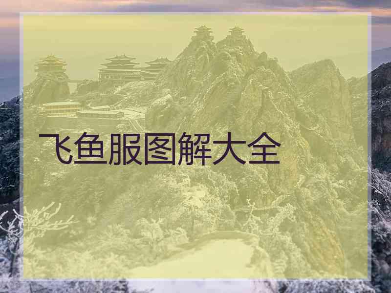 飞鱼服图解大全