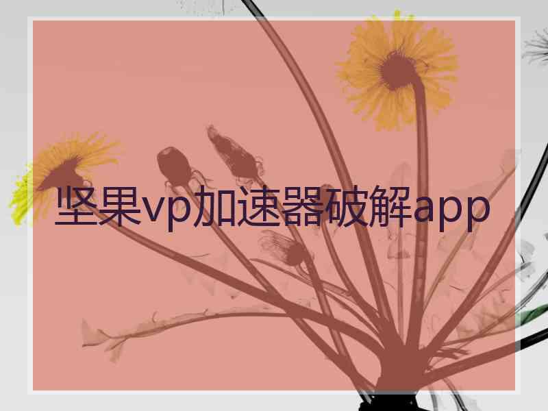 坚果vp加速器破解app