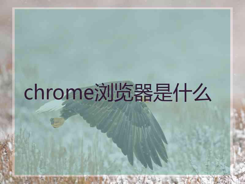 chrome浏览器是什么