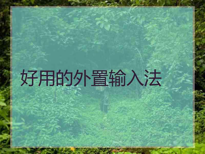 好用的外置输入法