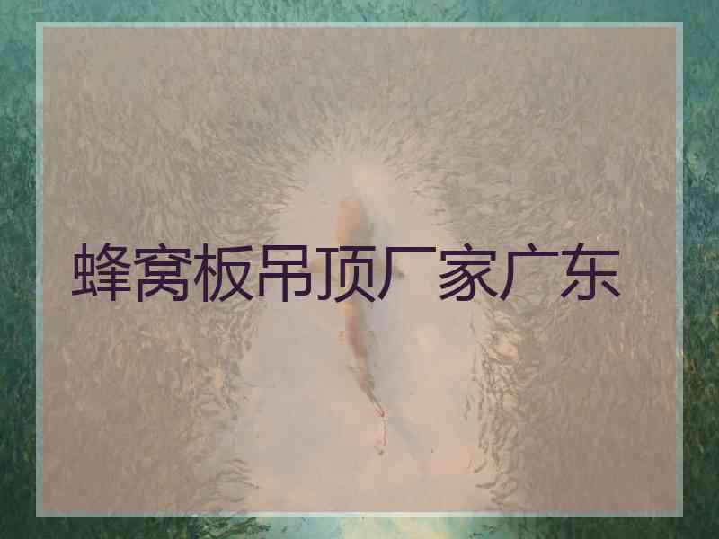蜂窝板吊顶厂家广东