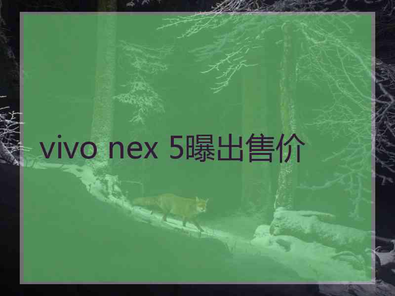vivo nex 5曝出售价