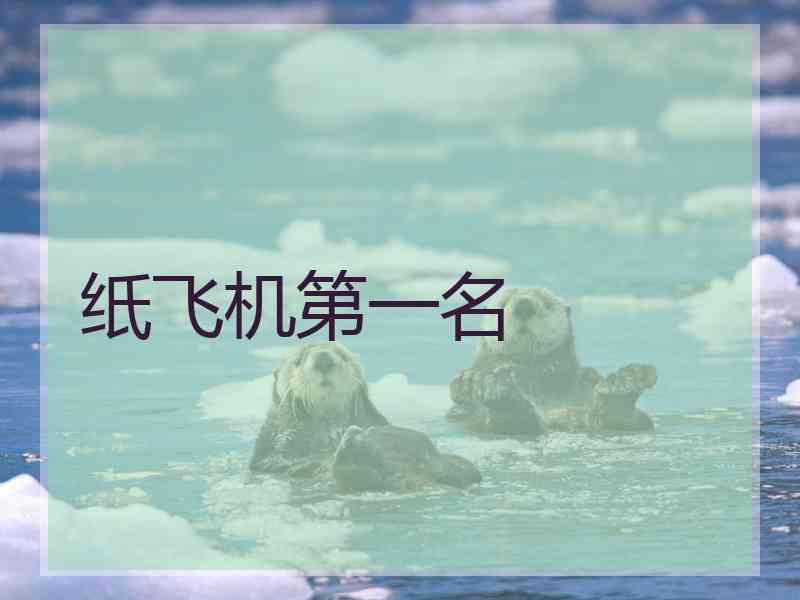 纸飞机第一名