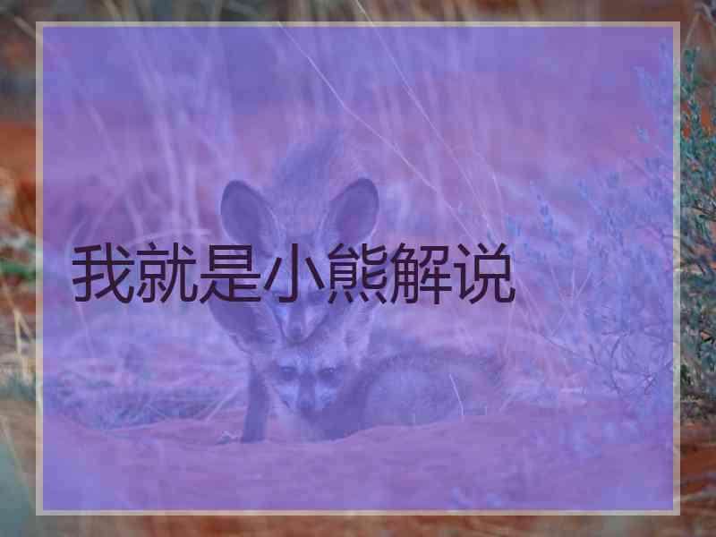 我就是小熊解说