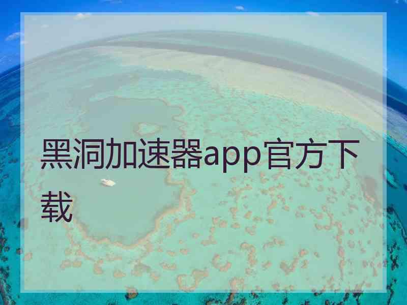 黑洞加速器app官方下载
