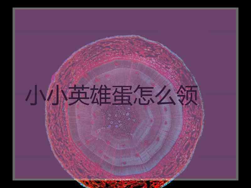 小小英雄蛋怎么领