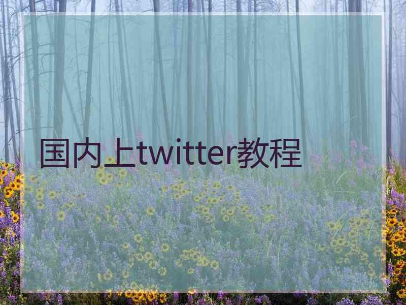 国内上twitter教程