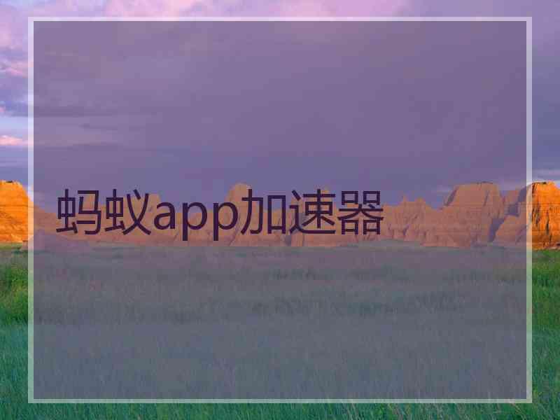 蚂蚁app加速器