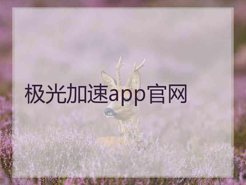 极光加速app官网