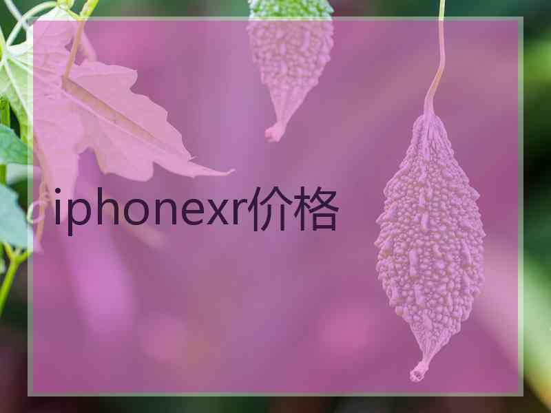iphonexr价格