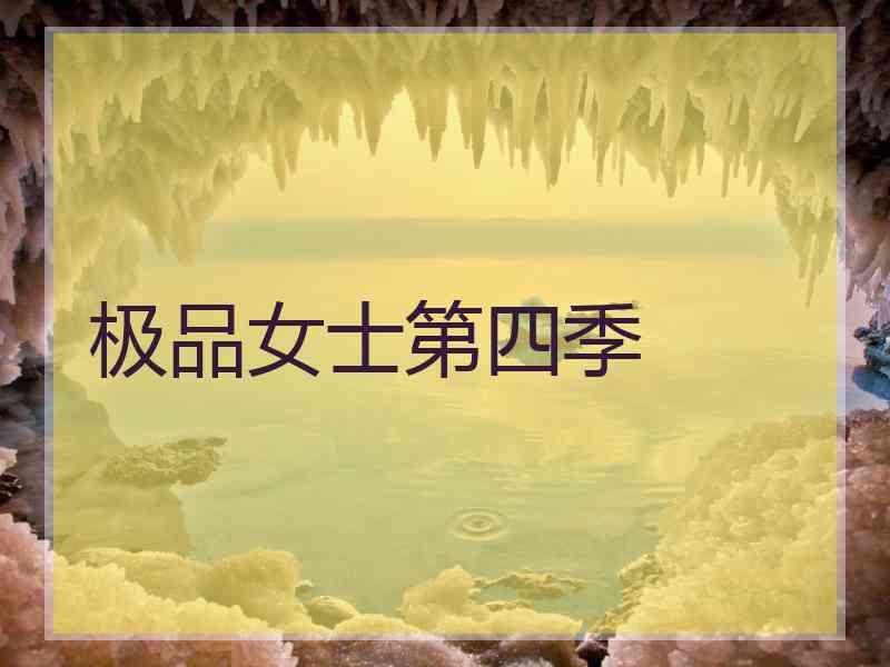 极品女士第四季