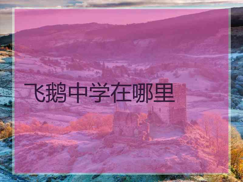 飞鹅中学在哪里