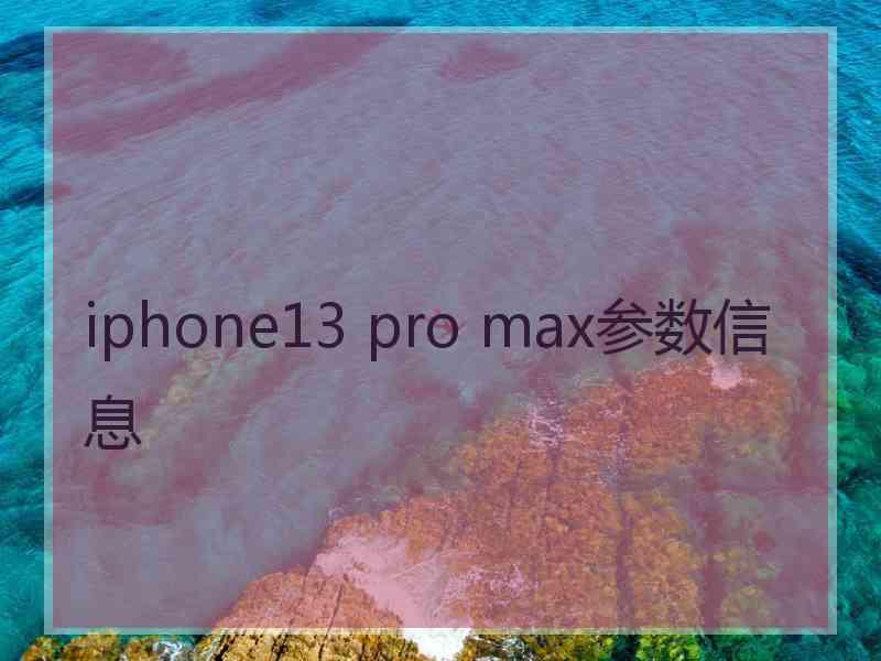 iphone13 pro max参数信息