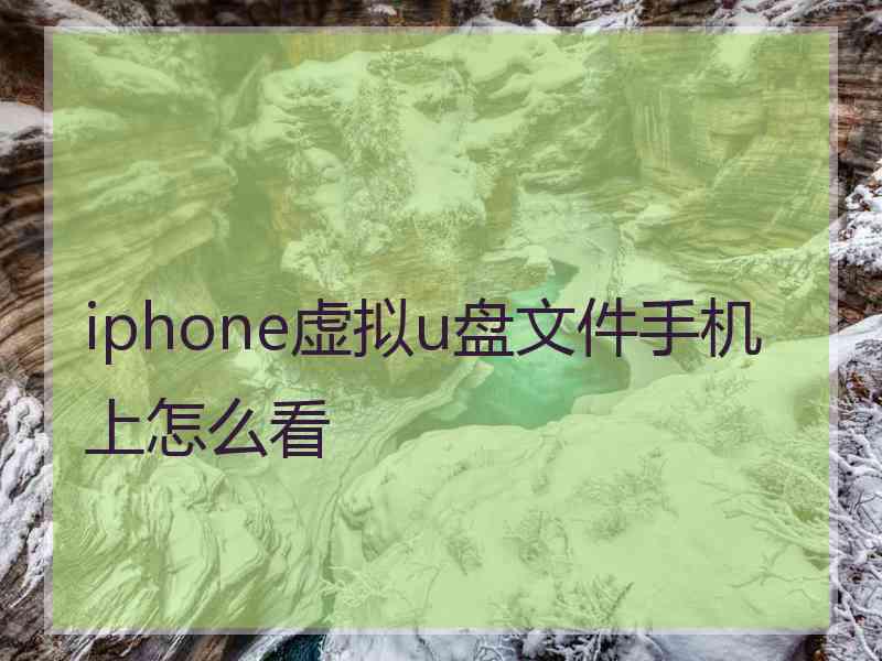 iphone虚拟u盘文件手机上怎么看