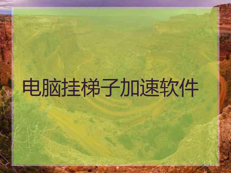 电脑挂梯子加速软件