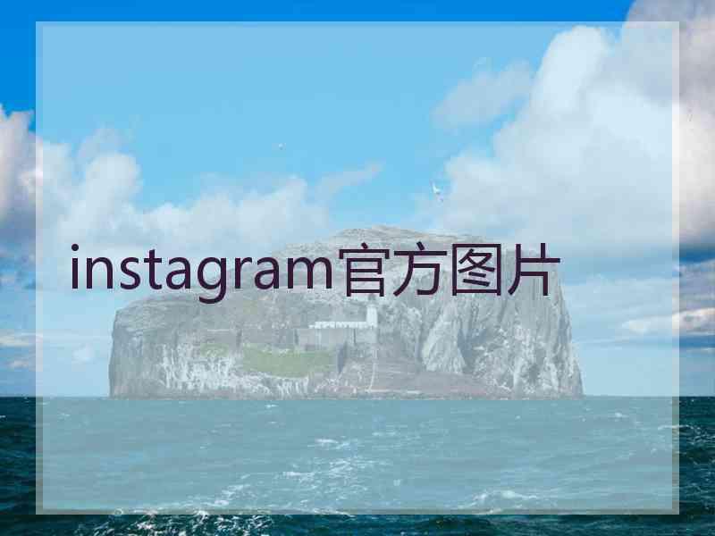 instagram官方图片