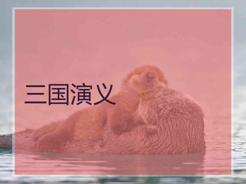 三国演义