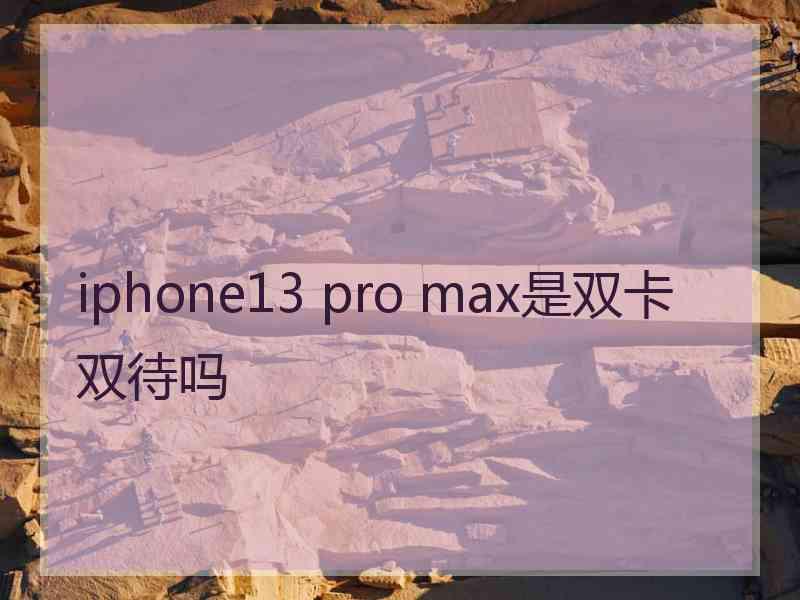 iphone13 pro max是双卡双待吗