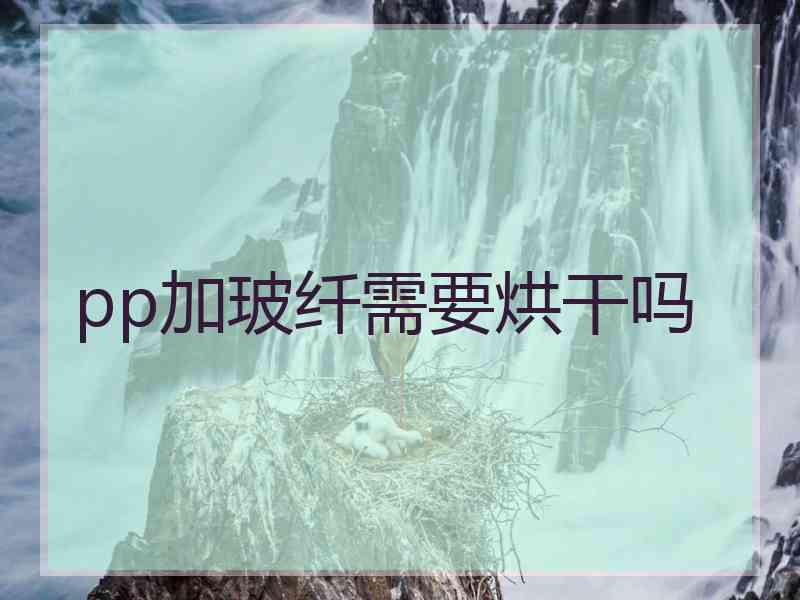 pp加玻纤需要烘干吗