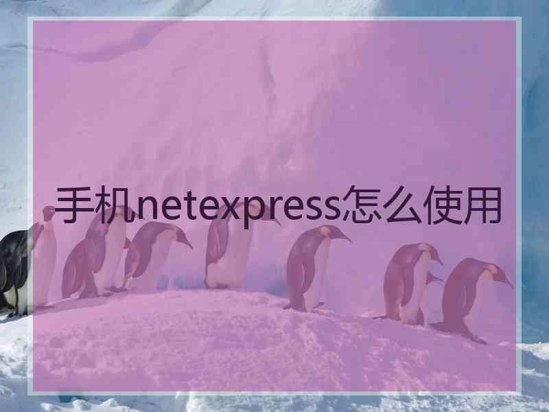 手机netexpress怎么使用
