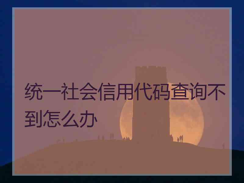 统一社会信用代码查询不到怎么办