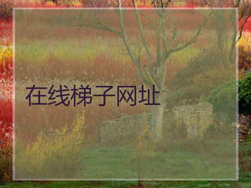 在线梯子网址