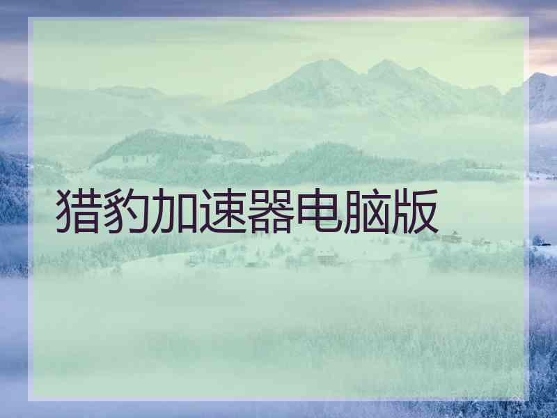 猎豹加速器电脑版