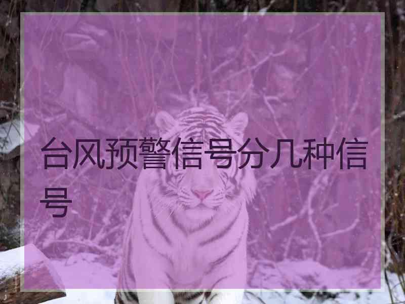 台风预警信号分几种信号