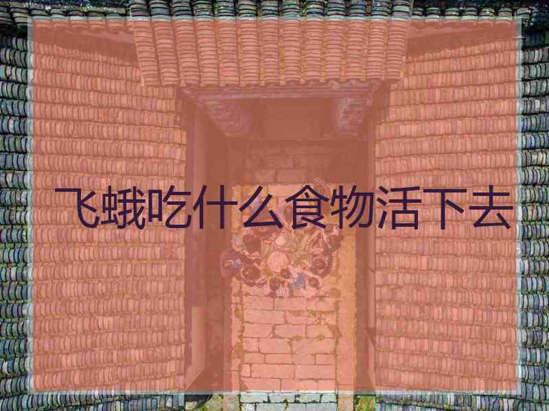 飞蛾吃什么食物活下去
