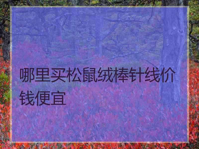 哪里买松鼠绒棒针线价钱便宜