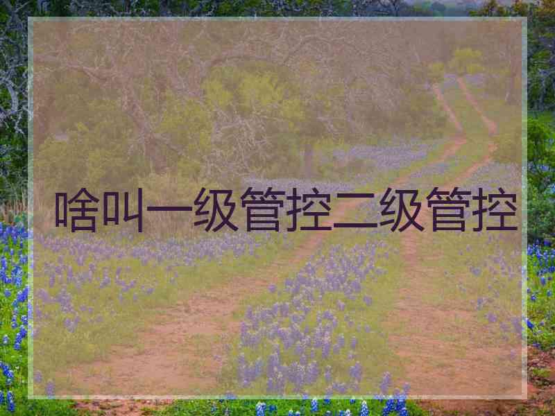 啥叫一级管控二级管控