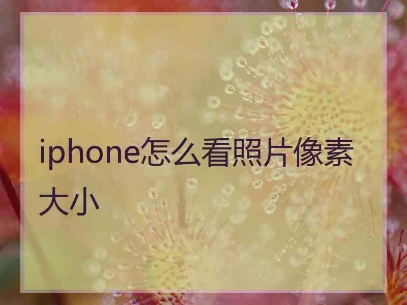iphone怎么看照片像素大小