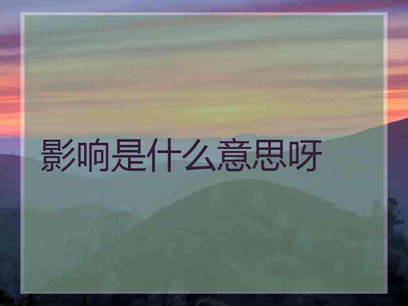 影响是什么意思呀