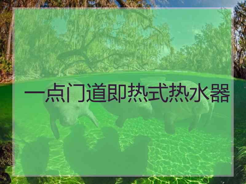 一点门道即热式热水器