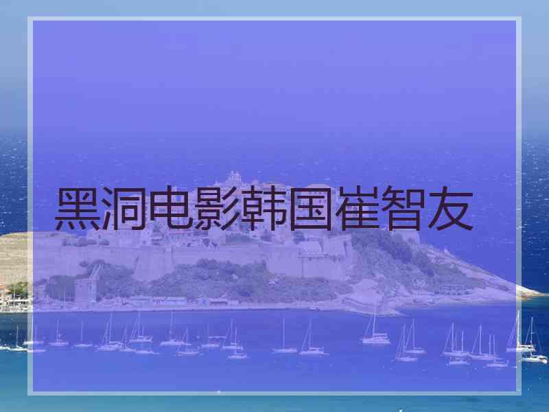 黑洞电影韩国崔智友