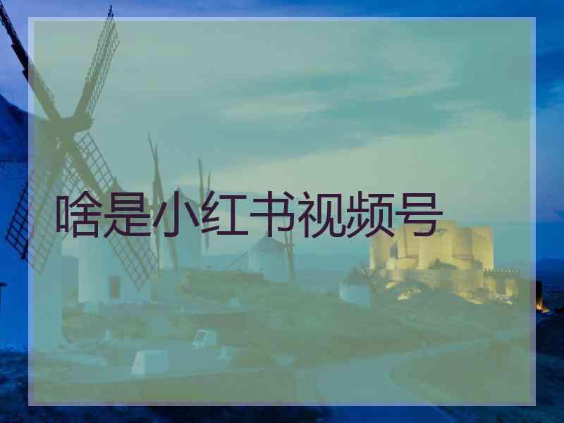 啥是小红书视频号