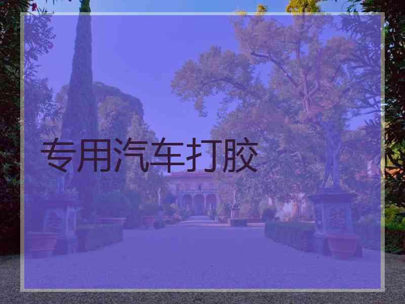 专用汽车打胶