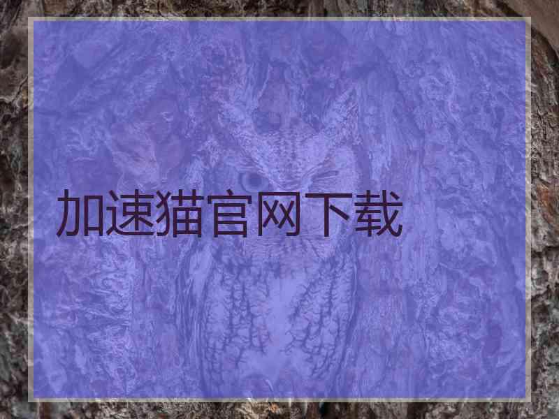 加速猫官网下载