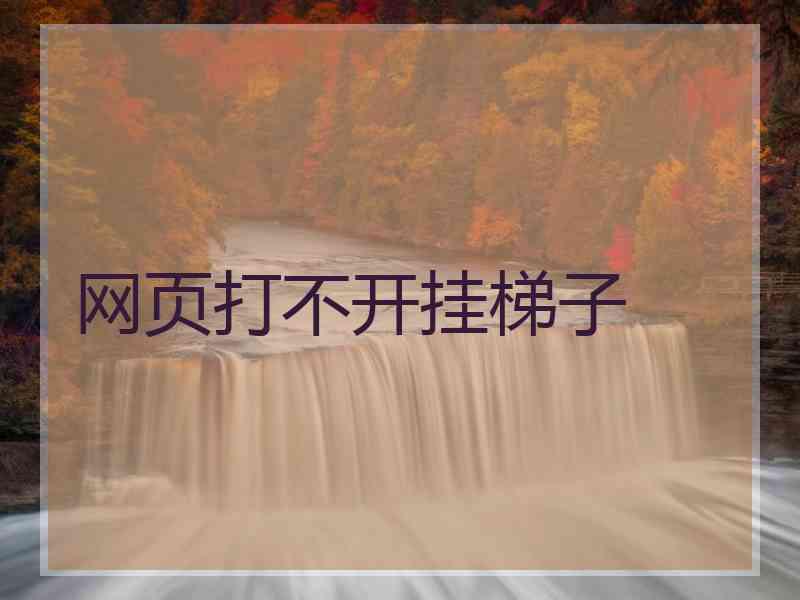 网页打不开挂梯子