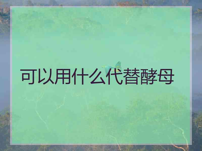可以用什么代替酵母