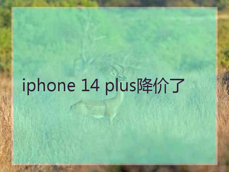 iphone 14 plus降价了