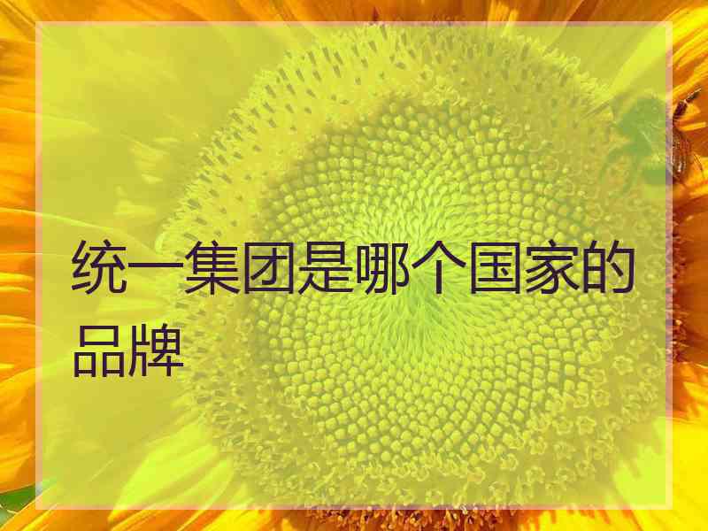 统一集团是哪个国家的品牌