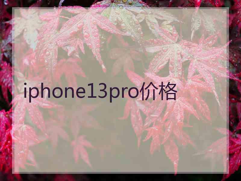iphone13pro价格