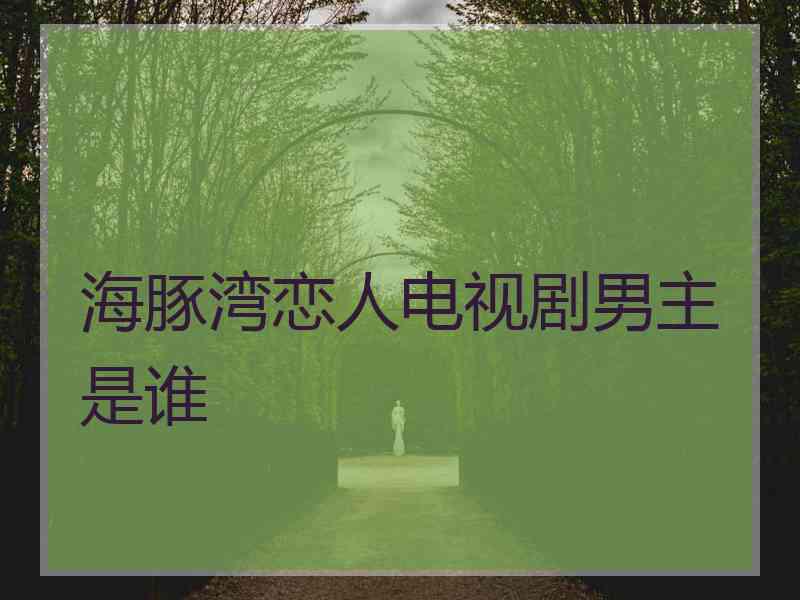 海豚湾恋人电视剧男主是谁
